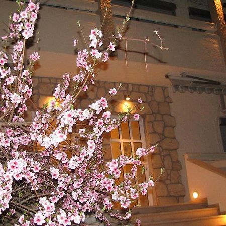 Villa Kokkinos Potos Zewnętrze zdjęcie